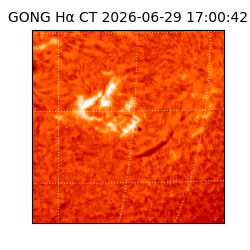 gong - 2026-06-29T17:00:42