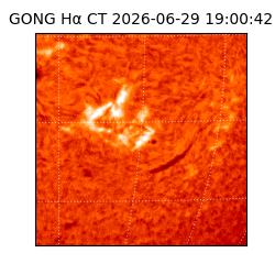 gong - 2026-06-29T19:00:42