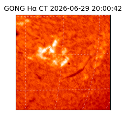 gong - 2026-06-29T20:00:42