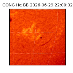gong - 2026-06-29T22:00:02