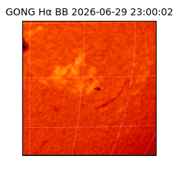 gong - 2026-06-29T23:00:02