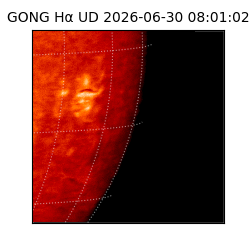 gong - 2026-06-30T08:01:02