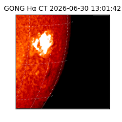 gong - 2026-06-30T13:01:42