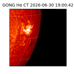gong - 2026-06-30T19:00:42