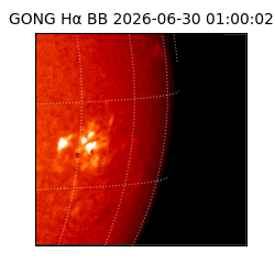 gong - 2026-06-30T01:00:02