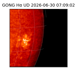 gong - 2026-06-30T07:09:02