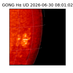gong - 2026-06-30T08:01:02