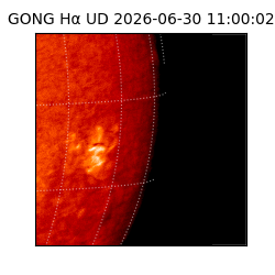 gong - 2026-06-30T11:00:02
