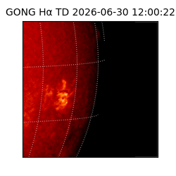 gong - 2026-06-30T12:00:22