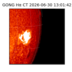 gong - 2026-06-30T13:01:42