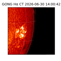 gong - 2026-06-30T14:00:42