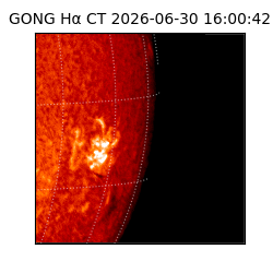 gong - 2026-06-30T16:00:42