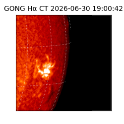 gong - 2026-06-30T19:00:42