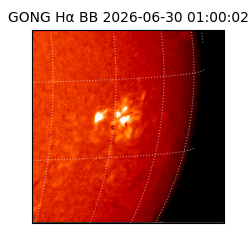 gong - 2026-06-30T01:00:02