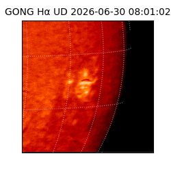 gong - 2026-06-30T08:01:02