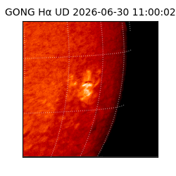 gong - 2026-06-30T11:00:02