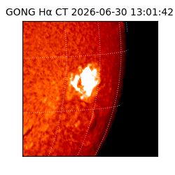gong - 2026-06-30T13:01:42