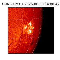 gong - 2026-06-30T14:00:42