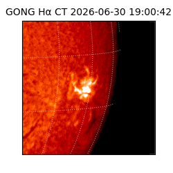 gong - 2026-06-30T19:00:42