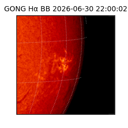 gong - 2026-06-30T22:00:02