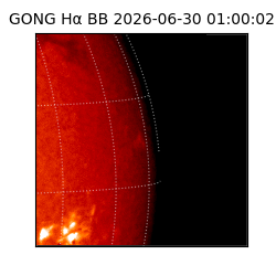 gong - 2026-06-30T01:00:02