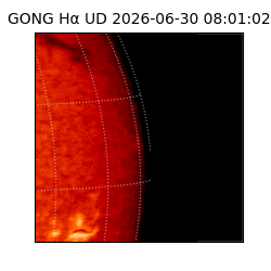 gong - 2026-06-30T08:01:02
