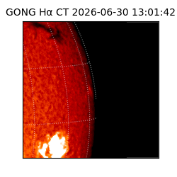 gong - 2026-06-30T13:01:42