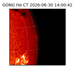 gong - 2026-06-30T14:00:42