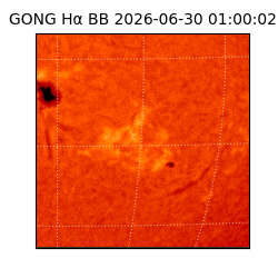 gong - 2026-06-30T01:00:02