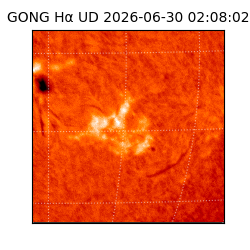 gong - 2026-06-30T02:08:02