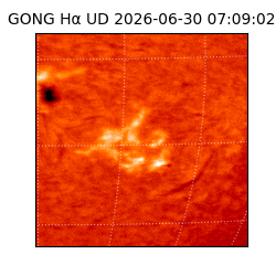 gong - 2026-06-30T07:09:02