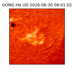 gong - 2026-06-30T08:01:02