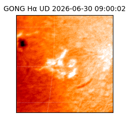 gong - 2026-06-30T09:00:02