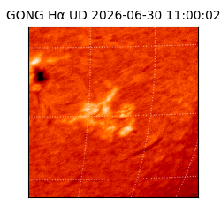 gong - 2026-06-30T11:00:02