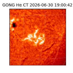 gong - 2026-06-30T19:00:42