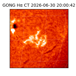 gong - 2026-06-30T20:00:42