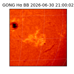 gong - 2026-06-30T21:00:02