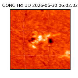 gong - 2026-06-30T06:02:02