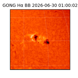 gong - 2026-06-30T01:00:02