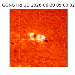 gong - 2026-06-30T05:00:02