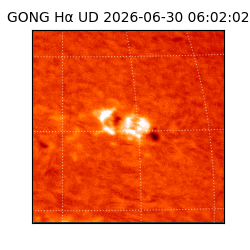 gong - 2026-06-30T06:02:02