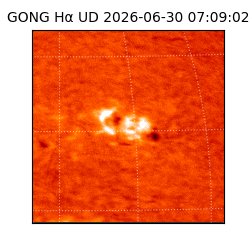 gong - 2026-06-30T07:09:02