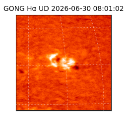 gong - 2026-06-30T08:01:02