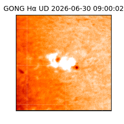 gong - 2026-06-30T09:00:02