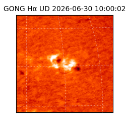 gong - 2026-06-30T10:00:02