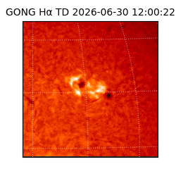 gong - 2026-06-30T12:00:22