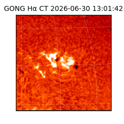 gong - 2026-06-30T13:01:42