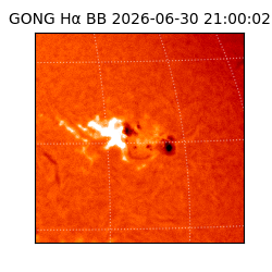 gong - 2026-06-30T21:00:02