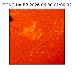 gong - 2026-06-30T01:00:02