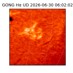 gong - 2026-06-30T06:02:02